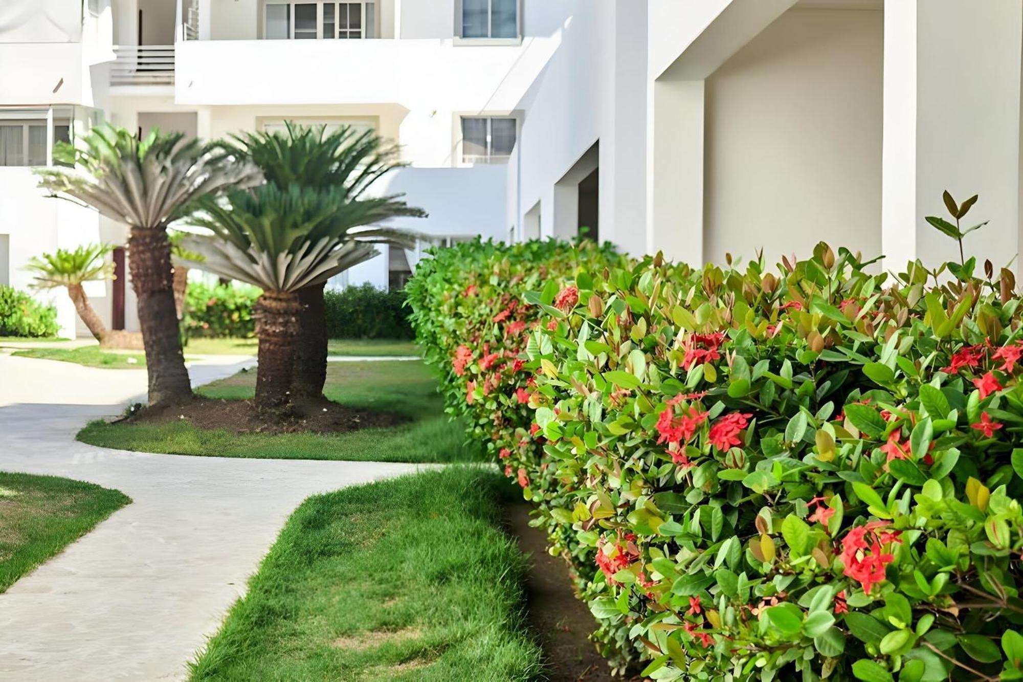 Los Corales Beach Village Punta Cana - The Original エクステリア 写真